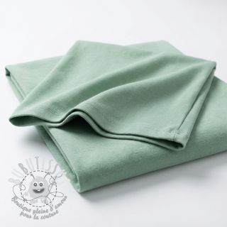 Jersey PREMIUM old green