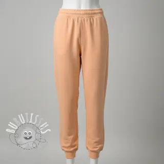 Sweat PREMIUM apricot ice