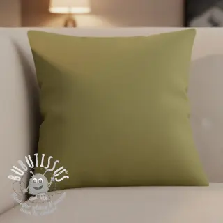 CANVAS olive
