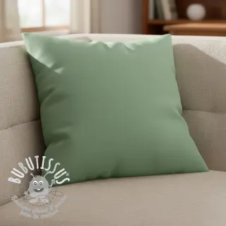 CANVAS mint