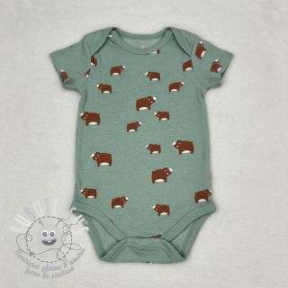 Jersey Bears dark mint melange