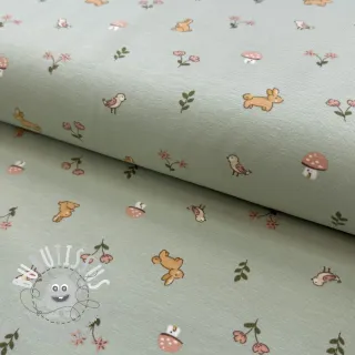 Jersey Bunnies sage ORGANIC