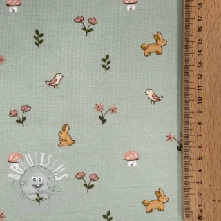 Jersey Bunnies sage ORGANIC