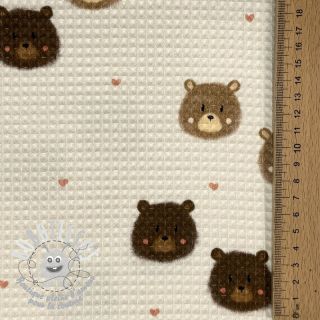 Tissu nid d’abeille Bears digital print