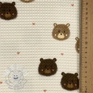 Tissu nid d’abeille Bears digital print