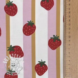 Jersey Fruits Strawberry white