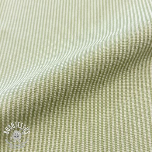 Tissu déco DOBBY Colored stripe light green