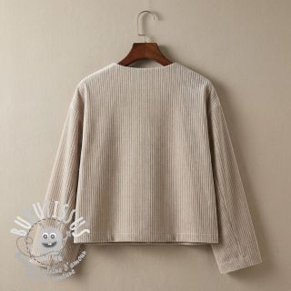  Velours  VELVET LUREX Stripe beige