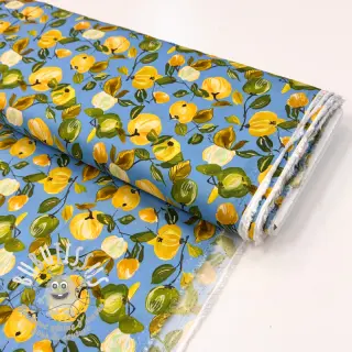 Viscose RAYON POPLIN Fruity design A