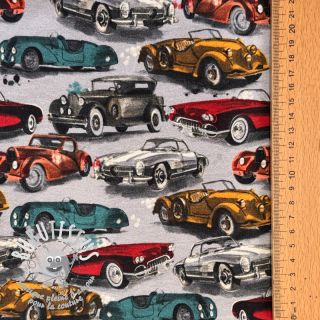 Sweat envers minkee Old cars grey digital print