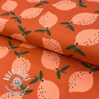 Tissu déco Fruits design F
