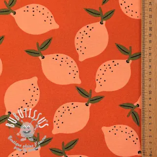 Tissu déco Fruits design F