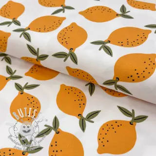 Tissu déco Fruits design E
