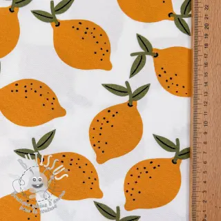 Tissu déco Fruits design E