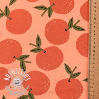 Tissu déco Fruits design D