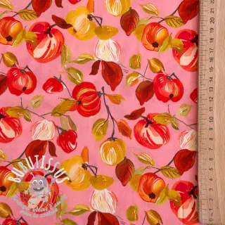 Viscose RAYON POPLIN Fruity design B