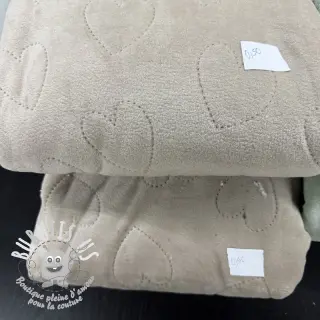 Paquet de Tissu velours jersey TEDDY 020