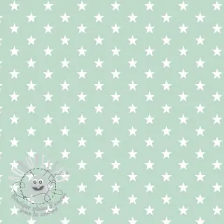 Tissu coton Petit stars mint
