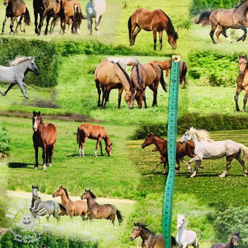 Tissu déco Horses in Meadow digital print
