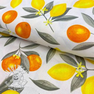 Tissu déco premium Citrus fruit