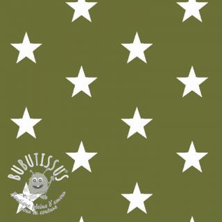 Tissu coton Stars green