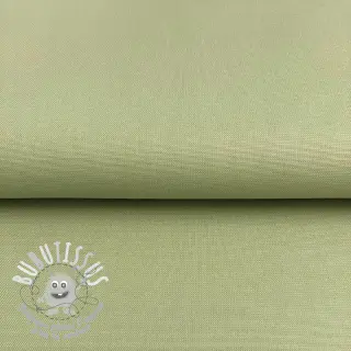 CANVAS dark mint