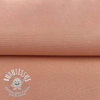 CANVAS blush