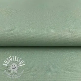 CANVAS old green