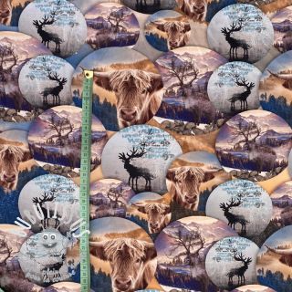 Sweat Nordic cattle digital print