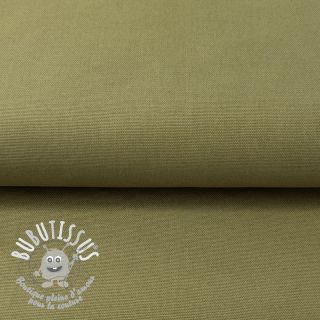 CANVAS olive