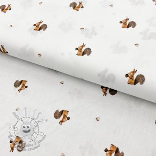 Tissu coton Squirrel white digital print 2nd class