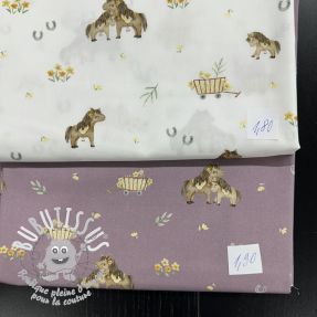 Paquet de tissus - coton 4390