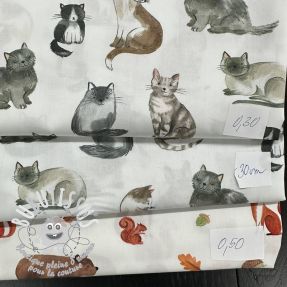 Paquet de tissus - coton 4393