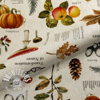 Tissu déco premium Linenlook Fall Harvest Recipe digital print