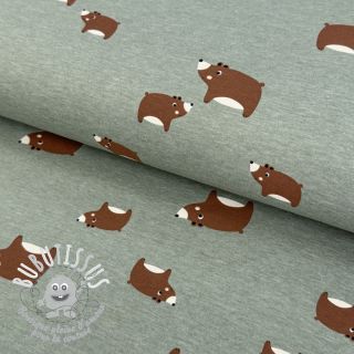 Jersey Bears dark mint melange