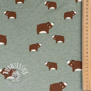 Jersey Bears dark mint melange