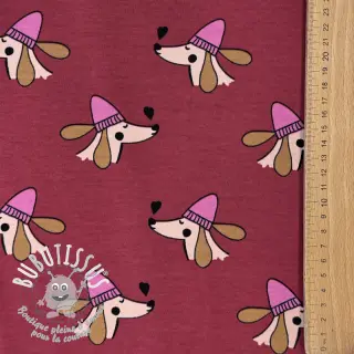 Sweat Dogs and hearts red