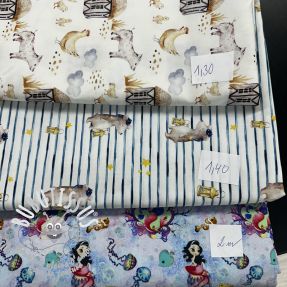 Paquet de tissus - coton 4521